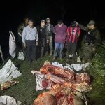 En operativo de vigilancia fiscal policial detienen en flagrancia a abigeos